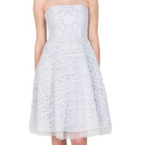 Badgley Mischka Silver Lace Dress